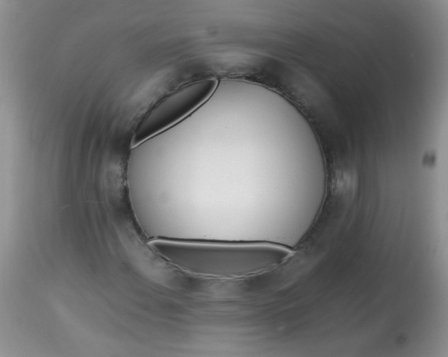 X0000113561108200910091408