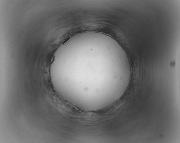 X0000113561109200910091408