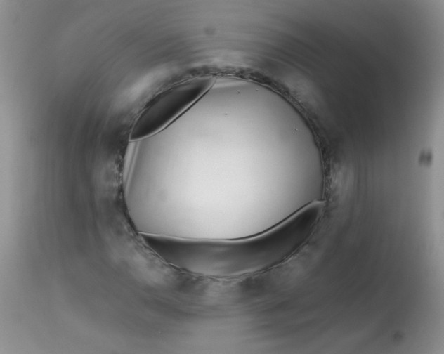 X0000113561110200910091408