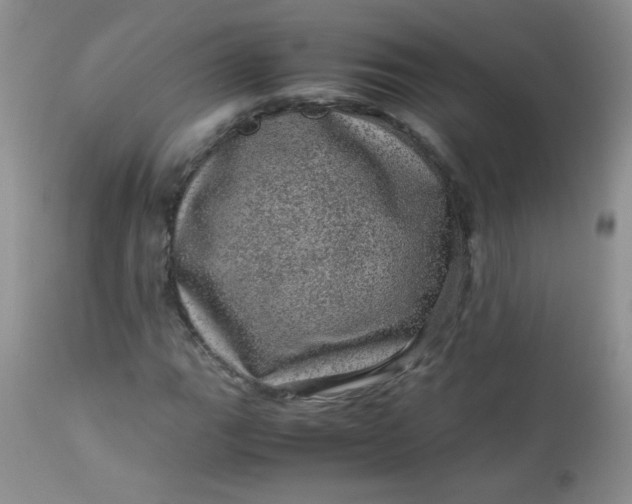 X0000113561111200910091408