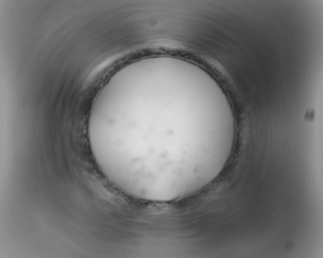 X0000113561112200910091408