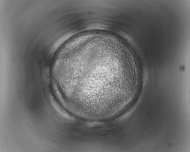 X0000113561113200910091408