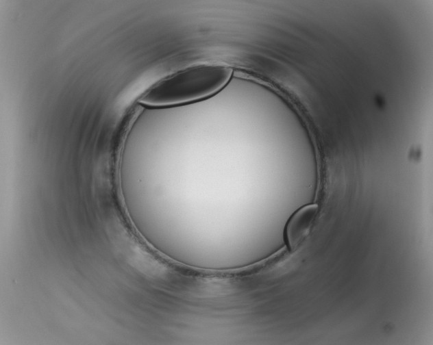 X0000113561114200910091408