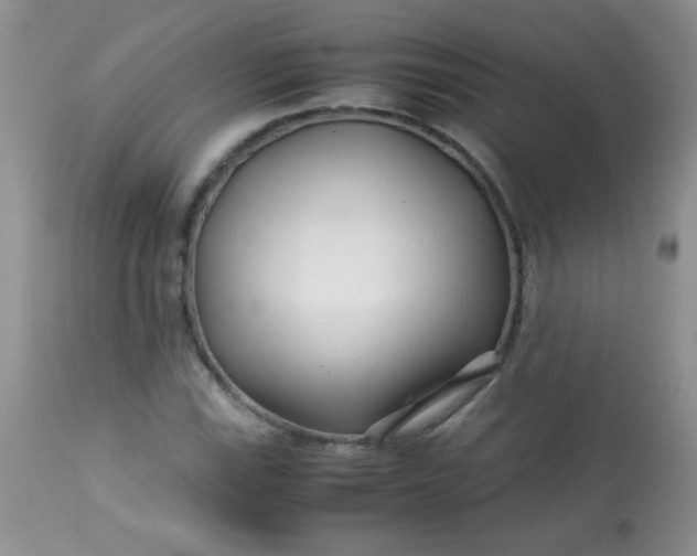 X0000113561115200910091408