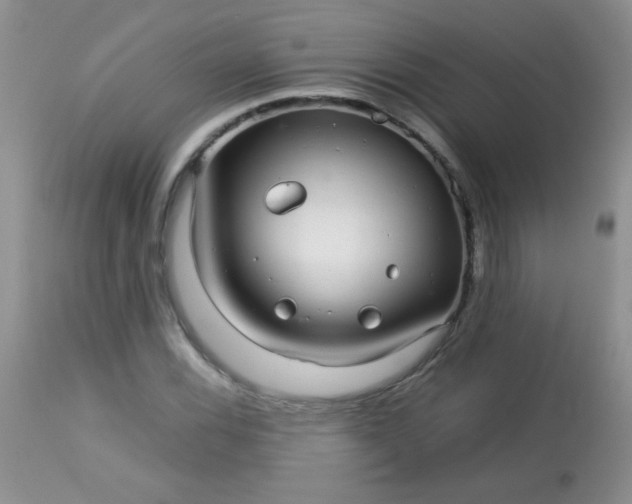 X0000113561116200910091408