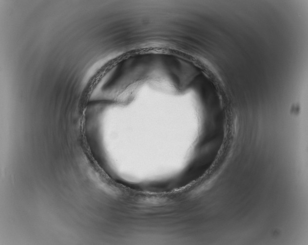 X0000113561117200910091408