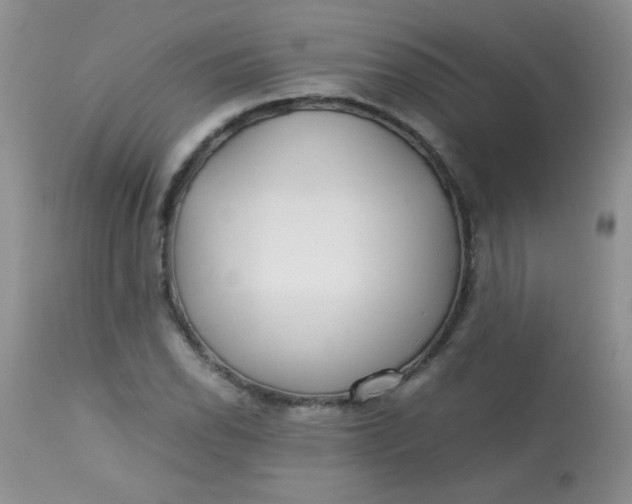 X0000113561118200910091408