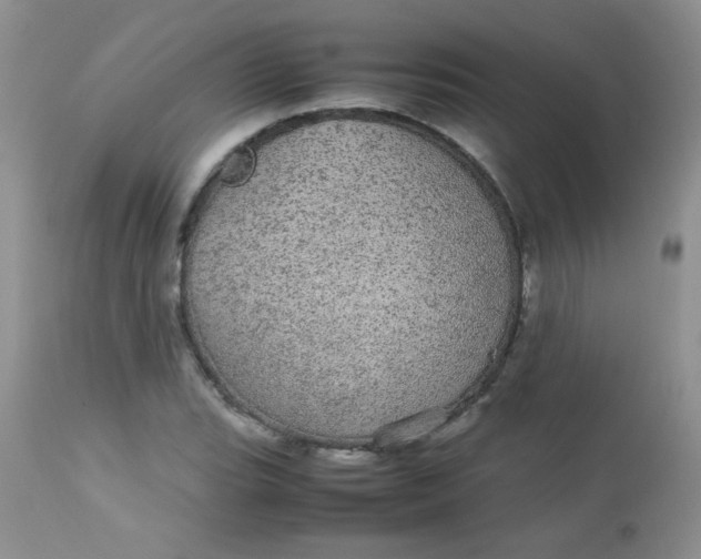 X0000113561119200910091408