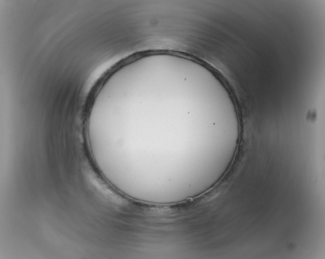 X0000113561120200910091408