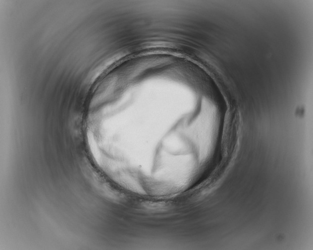 X0000113561121200910091408