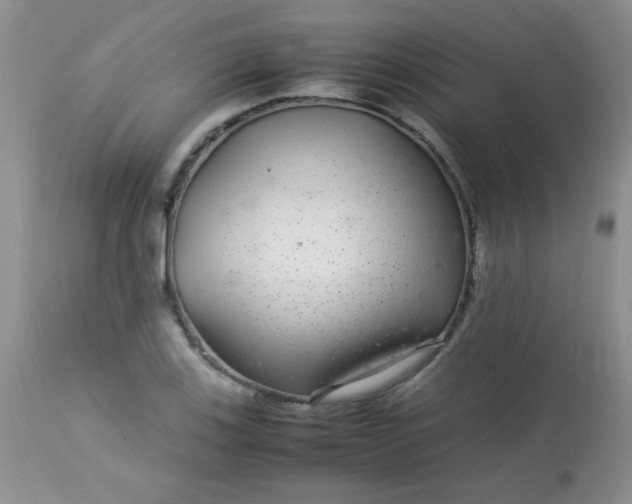 X0000113561123200910091408