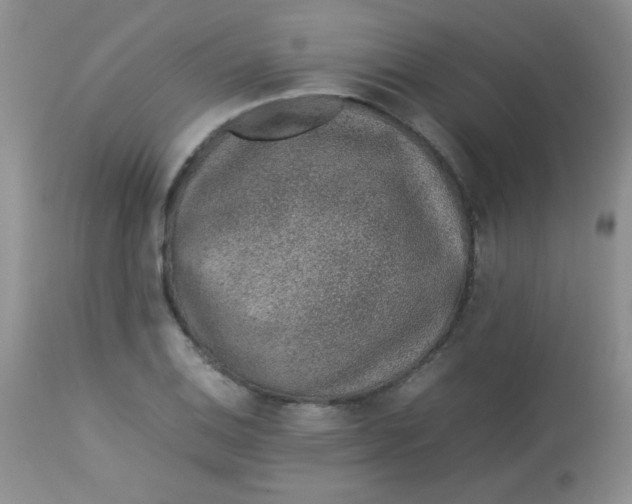 X0000113561124200910091408