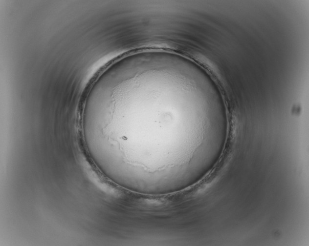 X0000113561125200910091408