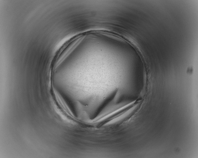 X0000113561127200910091408