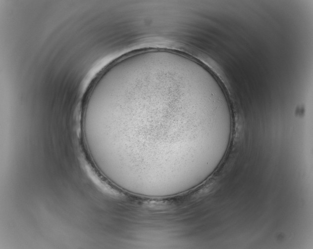 X0000113561128200910091408