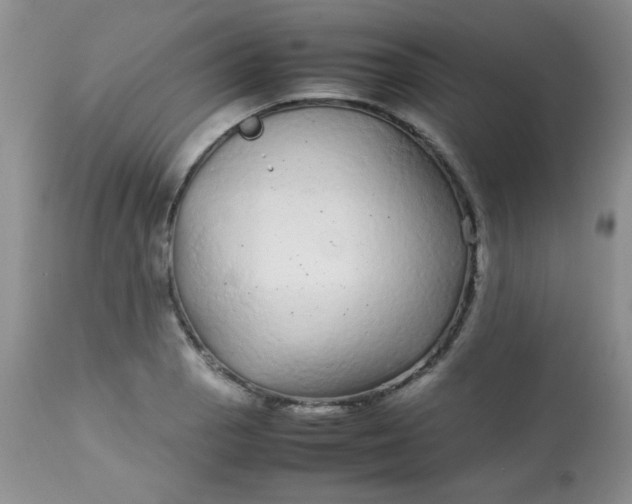 X0000113561129200910091408