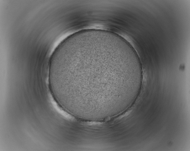 X0000113561131200910091408