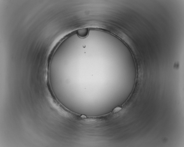 X0000113561132200910091408