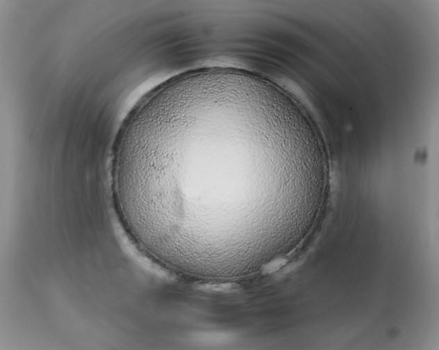 X0000113561133200910091408