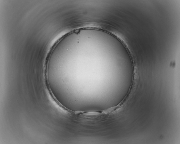 X0000113561135200910091408