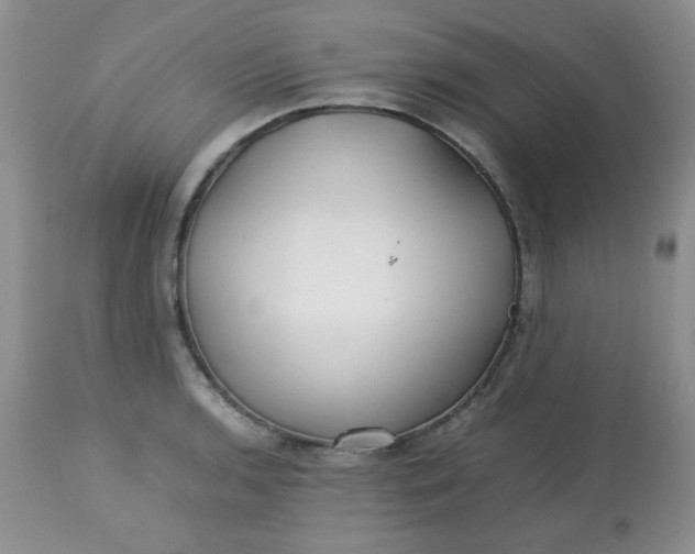 X0000113561136200910091408