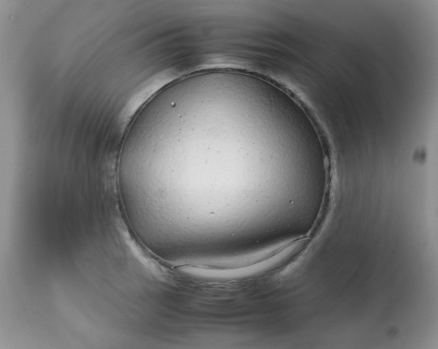 X0000113561137200910091408