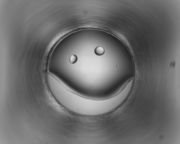 X0000113561138200910091408