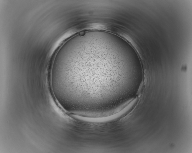 X0000113561139200910091408