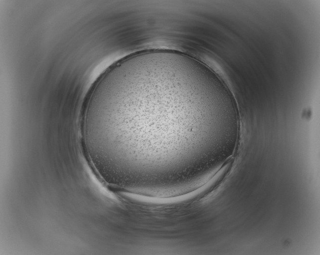 X0000113561141200910091409