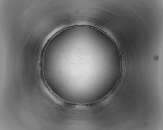 X0000113561142200910091409