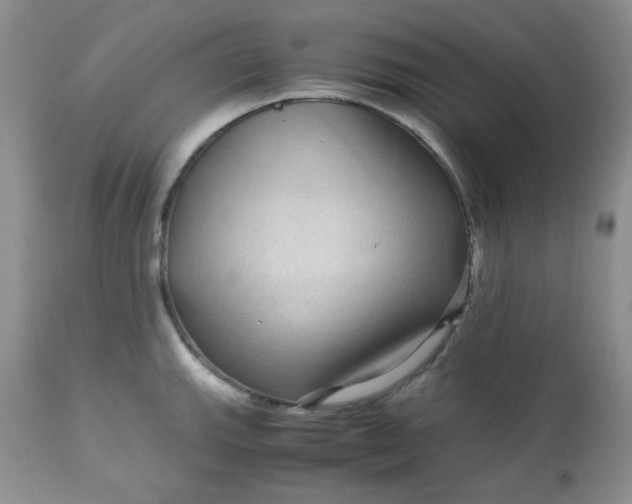 X0000113561143200910091409