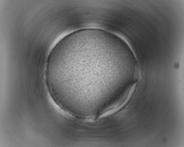 X0000113561147200910091409