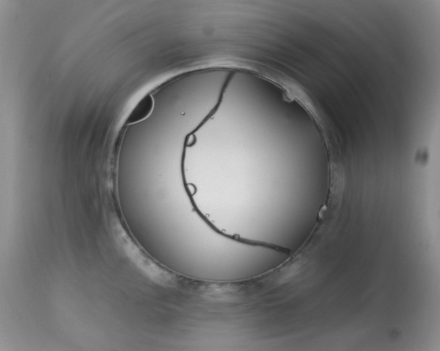 X0000113561148200910091409