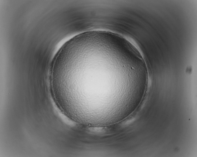 X0000113561149200910091409