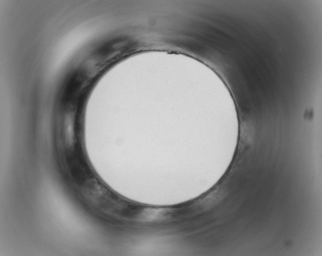 X0000113561150200910091409