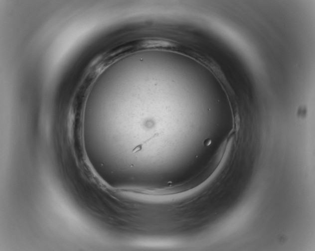 X0000113561151200910091409