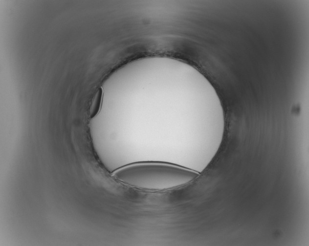 X0000113561153200910091408