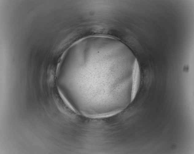 X0000113561154200910091408