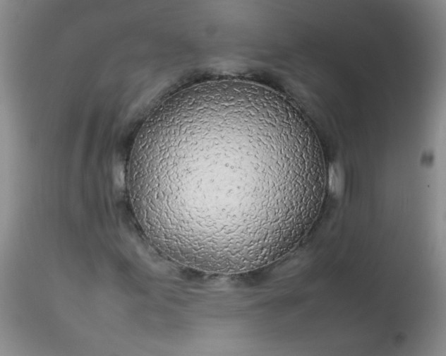 X0000113561155200910091408