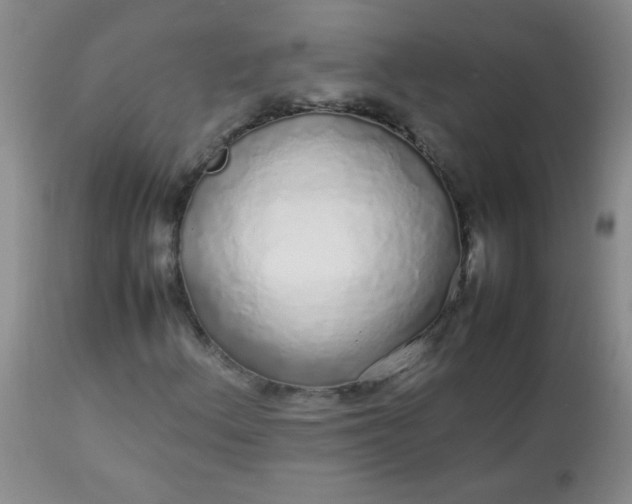 X0000113561156200910091408