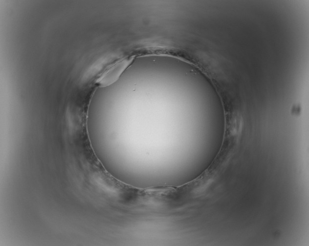 X0000113561157200910091408