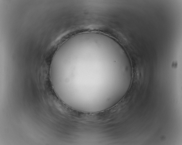 X0000113561158200910091408