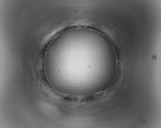 X0000113561159200910091408