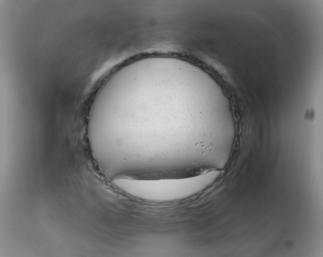 X0000113561160200910091408