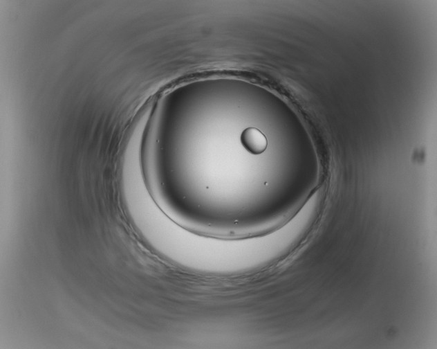 X0000113561161200910091408