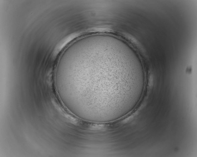 X0000113561162200910091408