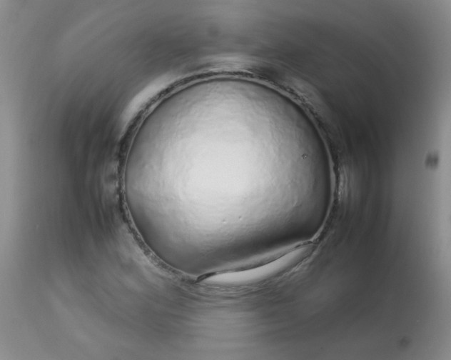 X0000113561164200910091408