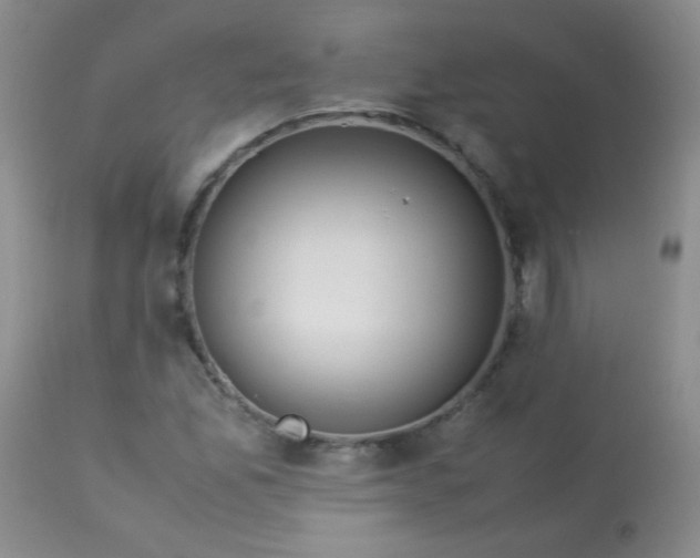 X0000113561165200910091408