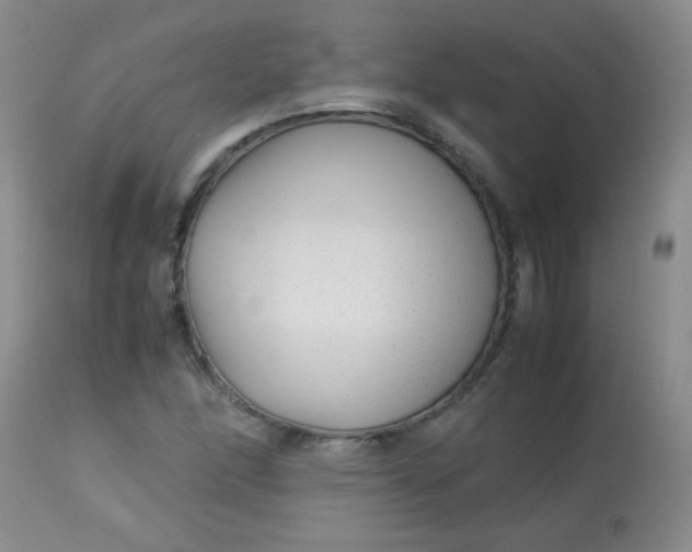 X0000113561166200910091408