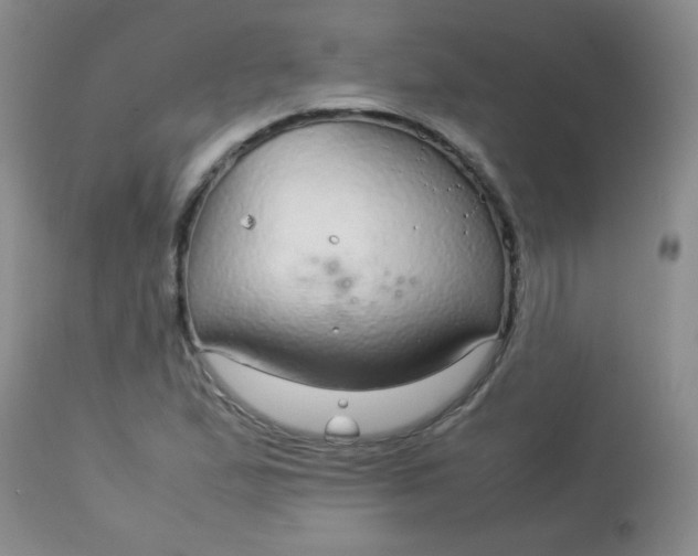 X0000113561167200910091408